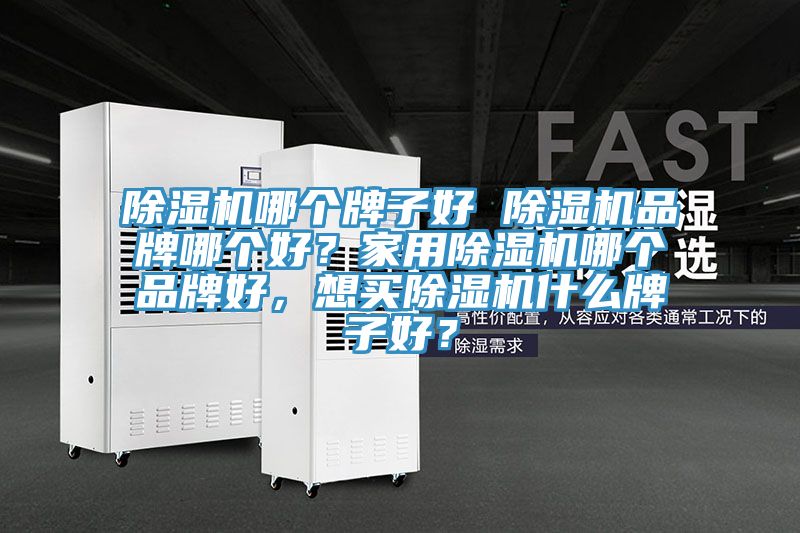 除濕機哪個牌子好 除濕機品牌哪個好?家用除濕機哪個品牌好,想買除濕機什么牌子好?
