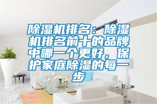 除濕機排名:除濕機排名前十的品牌中哪一個更好,保護家庭除濕的每一步