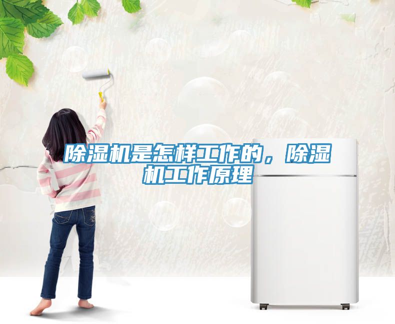 除濕機(jī)是怎樣工作的,除濕機(jī)工作原理