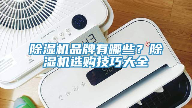 除濕機品牌有哪些？除濕機選購技巧大全