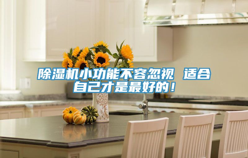 除濕機小功能不容忽視 適合自己才是最好的!