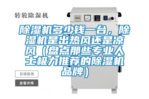 除濕機多少錢一臺，除濕機是出熱風還是涼風（盤點那些專業人士極力推薦的除濕機品牌）