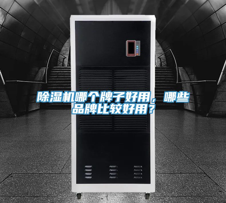 除濕機哪個牌子好用，哪些品牌比較好用？