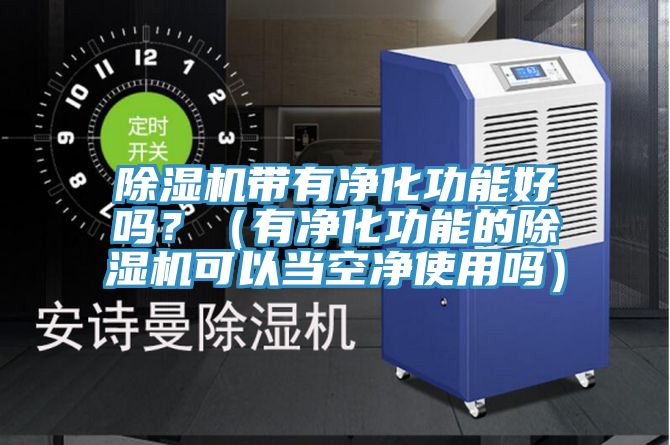 除濕機帶有凈化功能好嗎?(有凈化功能的除濕機可以當空凈使用嗎)