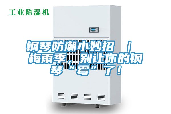 鋼琴防潮小妙招 | 梅雨季,別讓你的鋼琴“霉”了!