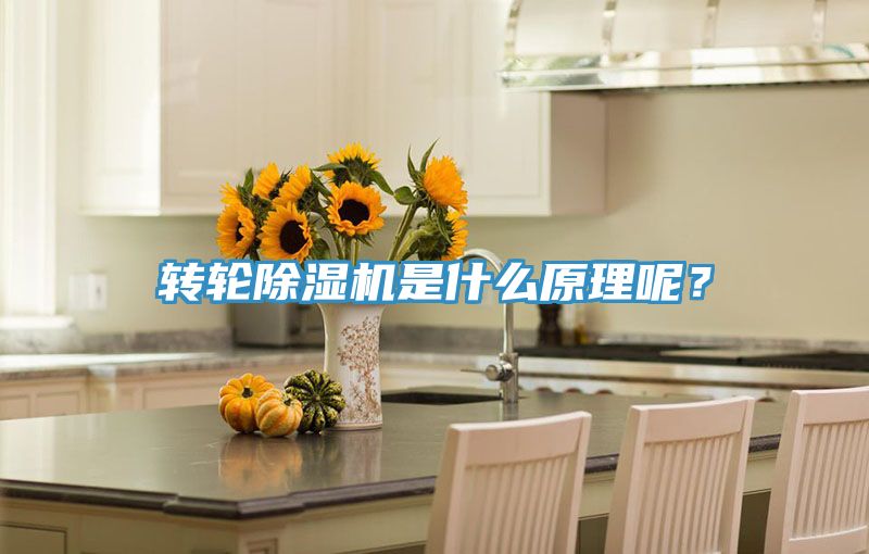 轉輪除濕機是什么原理呢？