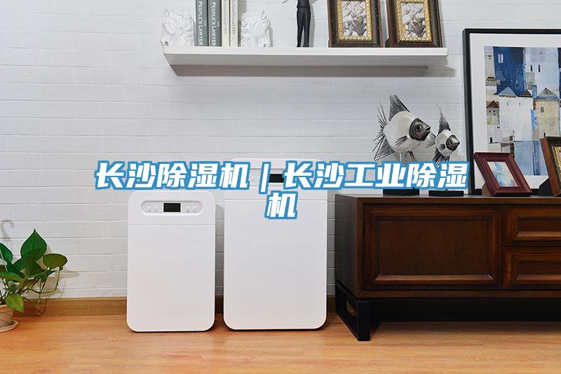 長沙除濕機|長沙工業(yè)除濕機