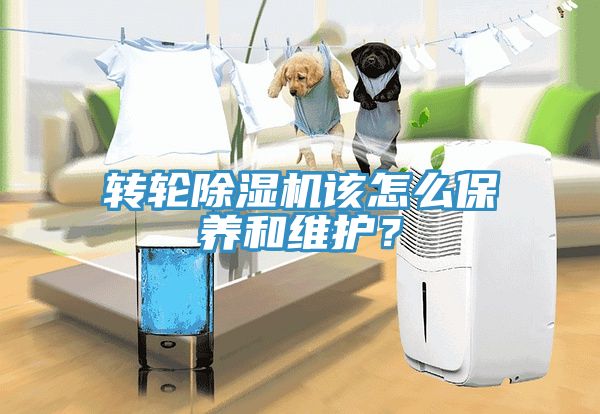 轉輪除濕機該怎么保養和維護？