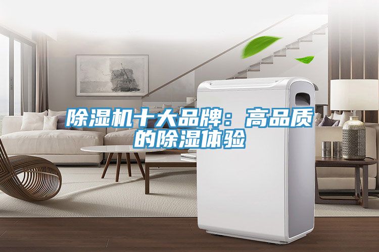 除濕機十大品牌:高品質的除濕體驗
