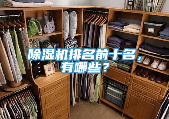 除濕機排名前十名，有哪些？