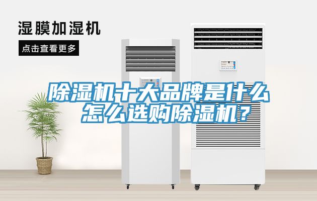 除濕機十大品牌是什么 怎么選購除濕機?