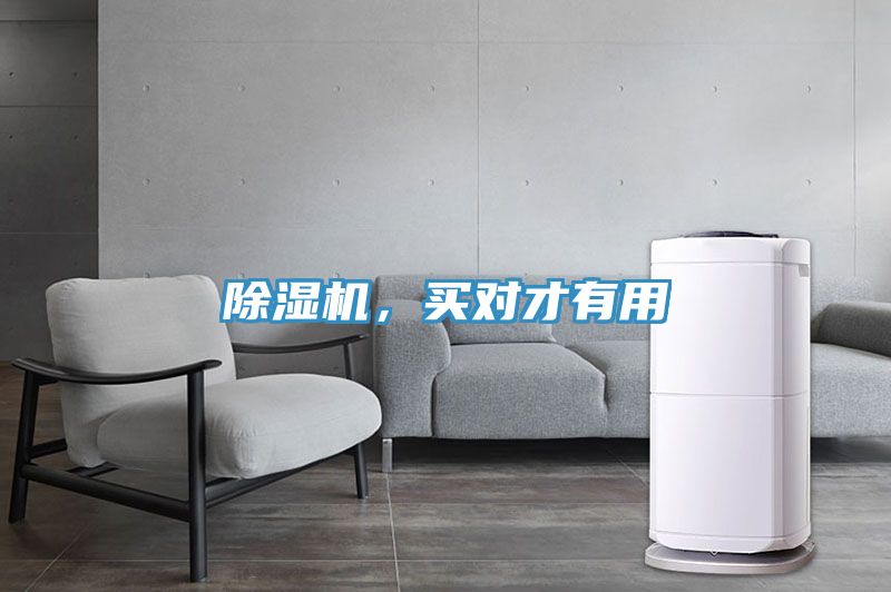除濕機，買對才有用