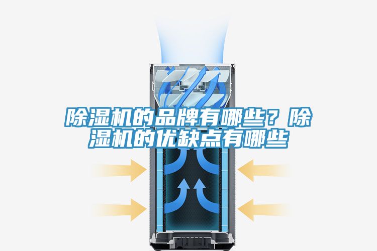 除濕機的品牌有哪些?除濕機的優缺點有哪些