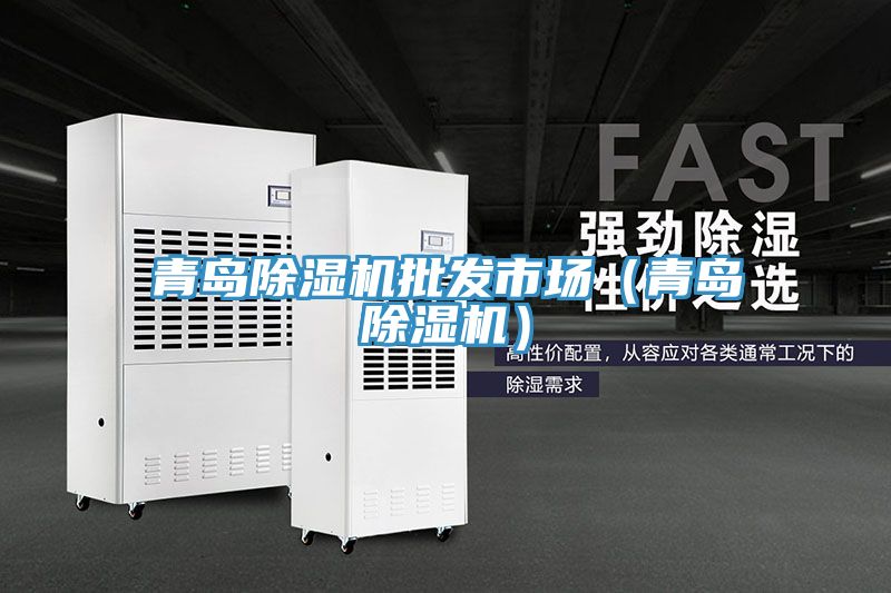 青島除濕機批發市場(青島除濕機)