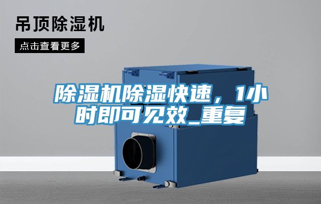 除濕機除濕快速，1小時即可見效_重復