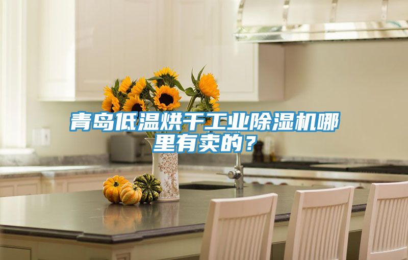 青島低溫烘干工業除濕機哪里有賣的?