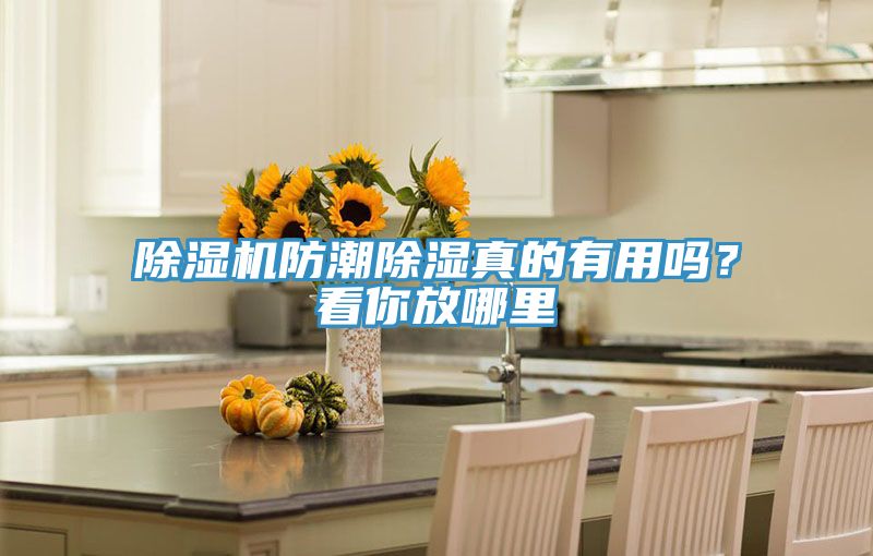除濕機(jī)防潮除濕真的有用嗎?看你放哪里