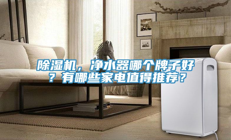 除濕機，凈水器哪個牌子好？有哪些家電值得推薦？