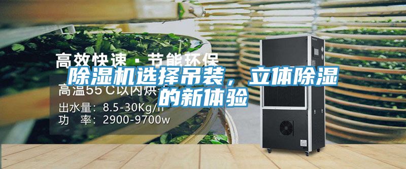 除濕機選擇吊裝，立體除濕的新體驗