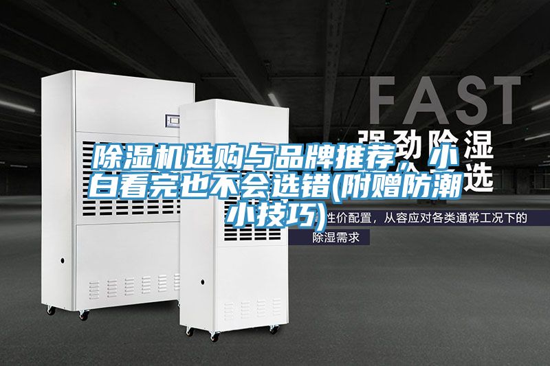 除濕機選購與品牌推薦,小白看完也不會選錯(附贈防潮小技巧)